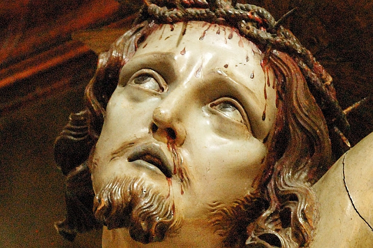 10 g-DSC_9791-1bppp.jpg